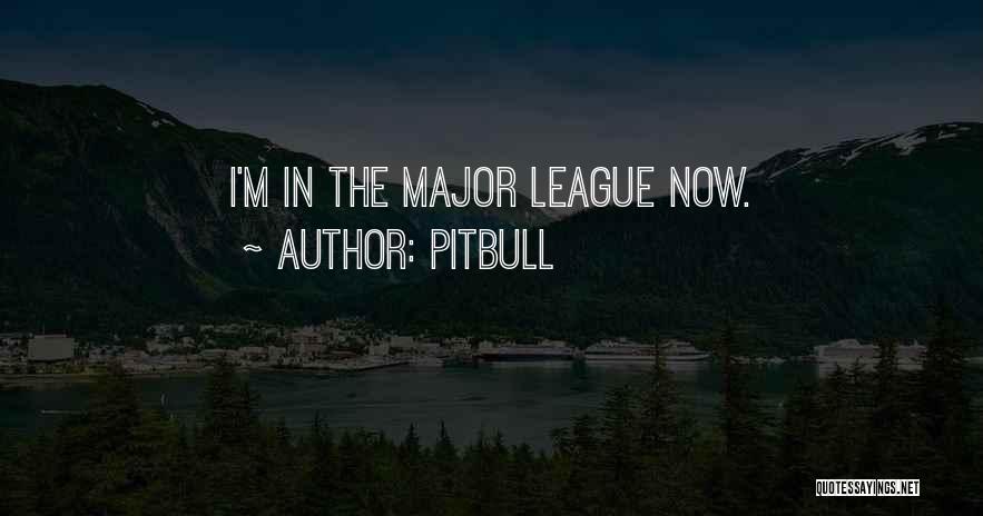 Pitbull Quotes: I'm In The Major League Now.