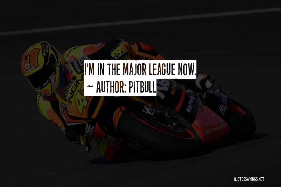 Pitbull Quotes: I'm In The Major League Now.