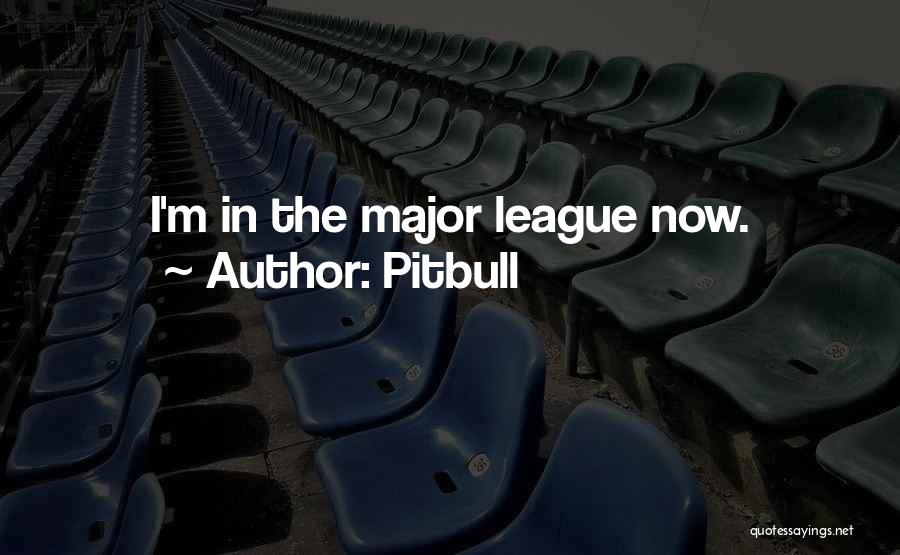 Pitbull Quotes: I'm In The Major League Now.