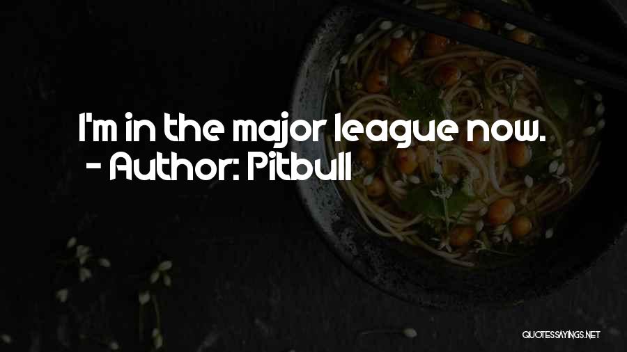 Pitbull Quotes: I'm In The Major League Now.