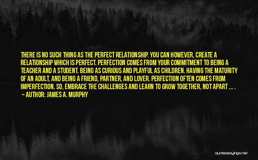 James A. Murphy Quotes: There Is No Such Thing As The Perfect Relationship. You Can However, Create A Relationship Which Is Perfect. Perfection Comes