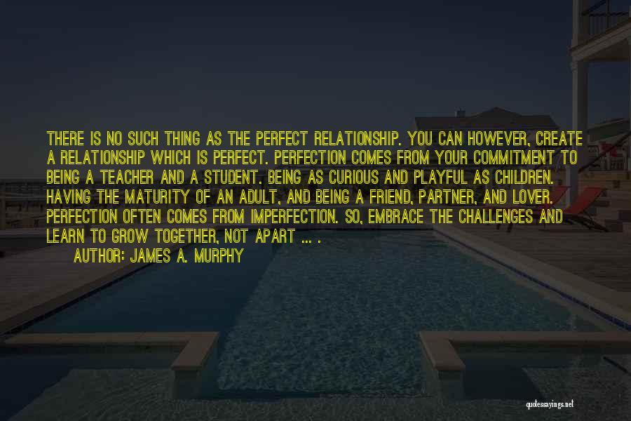 James A. Murphy Quotes: There Is No Such Thing As The Perfect Relationship. You Can However, Create A Relationship Which Is Perfect. Perfection Comes