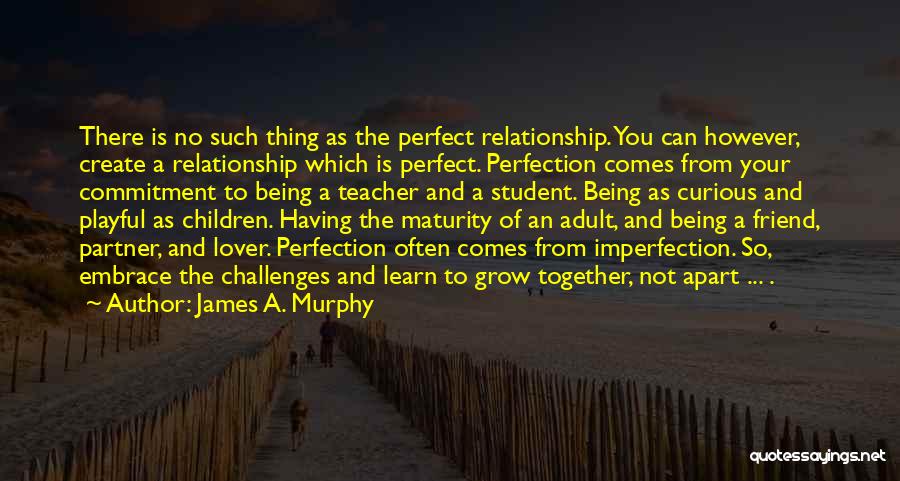 James A. Murphy Quotes: There Is No Such Thing As The Perfect Relationship. You Can However, Create A Relationship Which Is Perfect. Perfection Comes