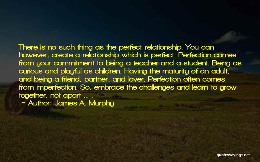 James A. Murphy Quotes: There Is No Such Thing As The Perfect Relationship. You Can However, Create A Relationship Which Is Perfect. Perfection Comes