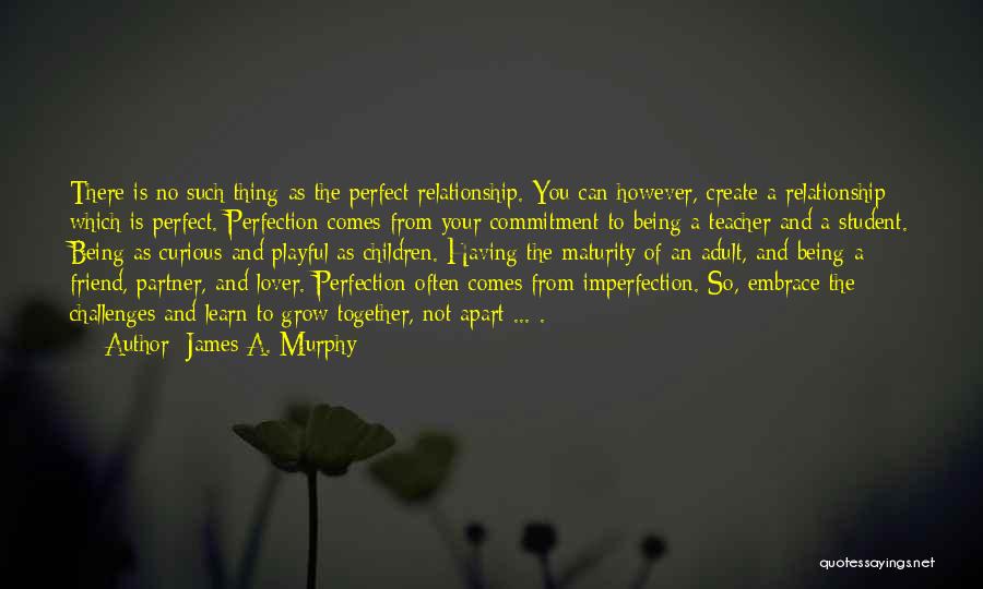 James A. Murphy Quotes: There Is No Such Thing As The Perfect Relationship. You Can However, Create A Relationship Which Is Perfect. Perfection Comes