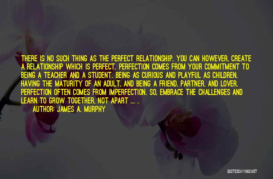 James A. Murphy Quotes: There Is No Such Thing As The Perfect Relationship. You Can However, Create A Relationship Which Is Perfect. Perfection Comes