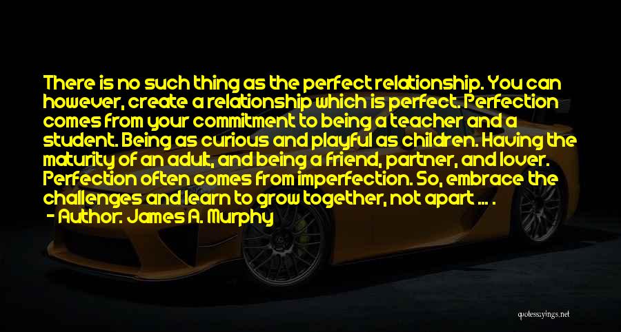 James A. Murphy Quotes: There Is No Such Thing As The Perfect Relationship. You Can However, Create A Relationship Which Is Perfect. Perfection Comes