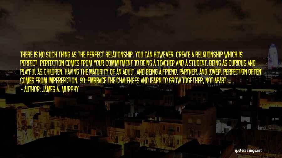 James A. Murphy Quotes: There Is No Such Thing As The Perfect Relationship. You Can However, Create A Relationship Which Is Perfect. Perfection Comes