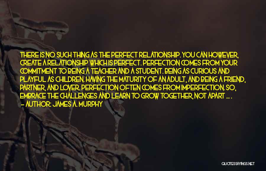 James A. Murphy Quotes: There Is No Such Thing As The Perfect Relationship. You Can However, Create A Relationship Which Is Perfect. Perfection Comes