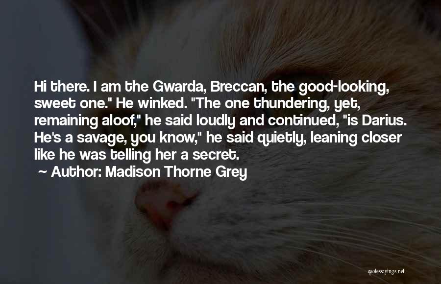 Madison Thorne Grey Quotes: Hi There. I Am The Gwarda, Breccan, The Good-looking, Sweet One. He Winked. The One Thundering, Yet, Remaining Aloof, He