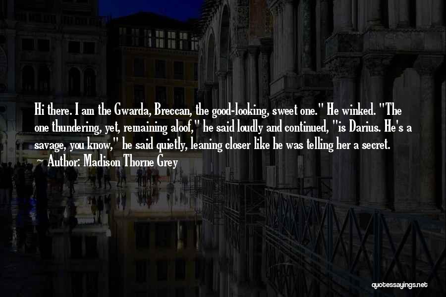 Madison Thorne Grey Quotes: Hi There. I Am The Gwarda, Breccan, The Good-looking, Sweet One. He Winked. The One Thundering, Yet, Remaining Aloof, He