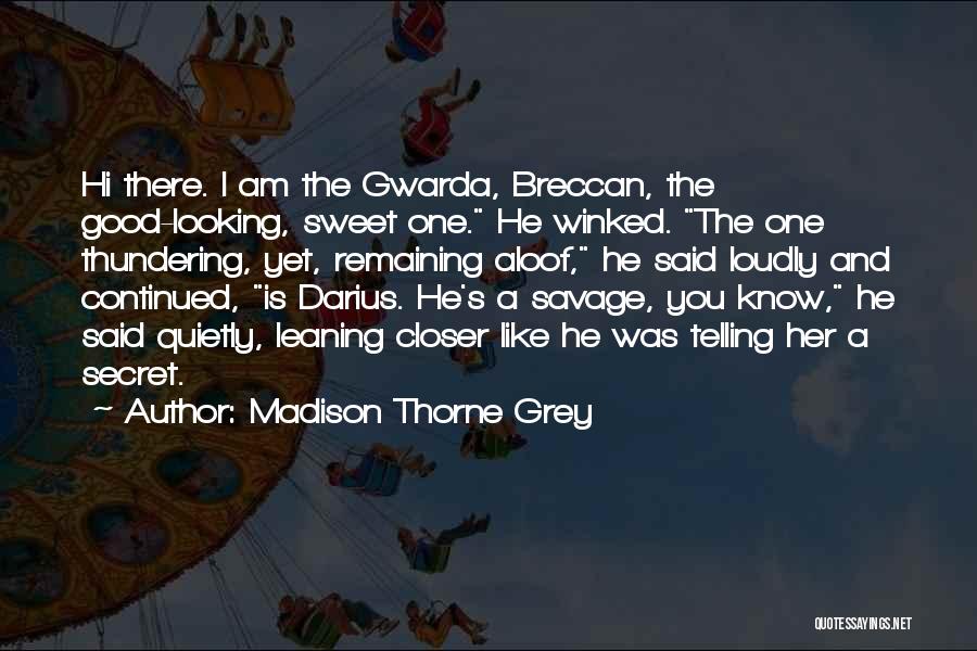 Madison Thorne Grey Quotes: Hi There. I Am The Gwarda, Breccan, The Good-looking, Sweet One. He Winked. The One Thundering, Yet, Remaining Aloof, He