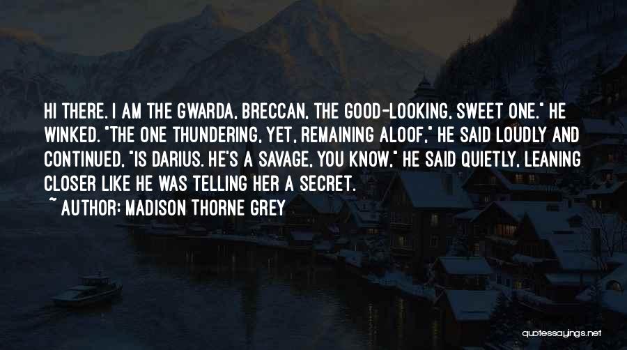 Madison Thorne Grey Quotes: Hi There. I Am The Gwarda, Breccan, The Good-looking, Sweet One. He Winked. The One Thundering, Yet, Remaining Aloof, He