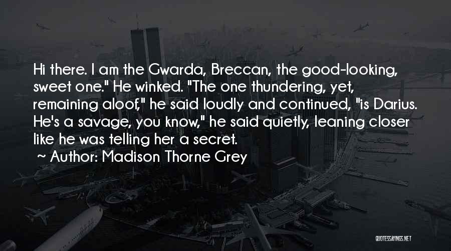 Madison Thorne Grey Quotes: Hi There. I Am The Gwarda, Breccan, The Good-looking, Sweet One. He Winked. The One Thundering, Yet, Remaining Aloof, He