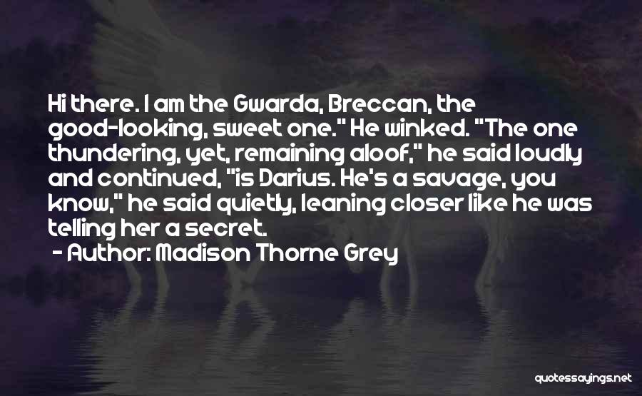 Madison Thorne Grey Quotes: Hi There. I Am The Gwarda, Breccan, The Good-looking, Sweet One. He Winked. The One Thundering, Yet, Remaining Aloof, He