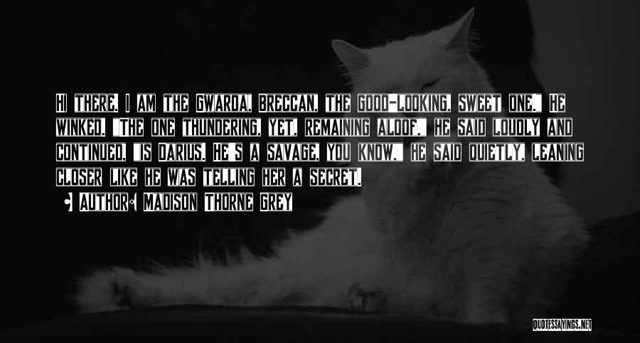 Madison Thorne Grey Quotes: Hi There. I Am The Gwarda, Breccan, The Good-looking, Sweet One. He Winked. The One Thundering, Yet, Remaining Aloof, He