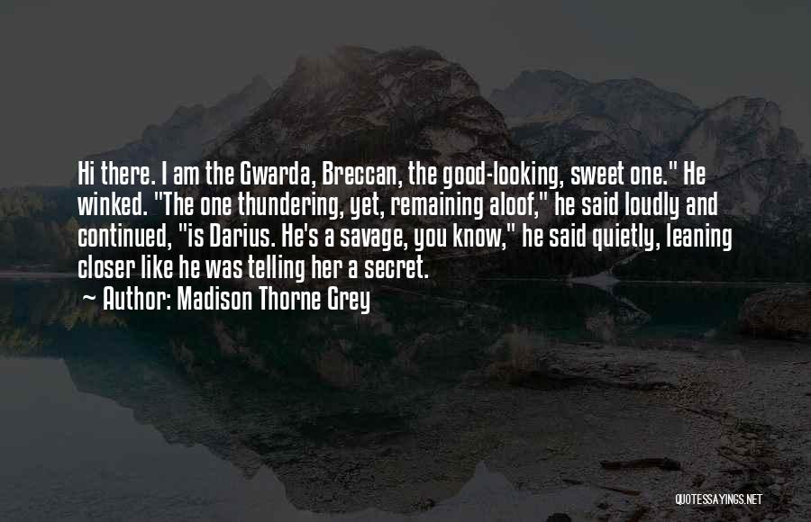 Madison Thorne Grey Quotes: Hi There. I Am The Gwarda, Breccan, The Good-looking, Sweet One. He Winked. The One Thundering, Yet, Remaining Aloof, He