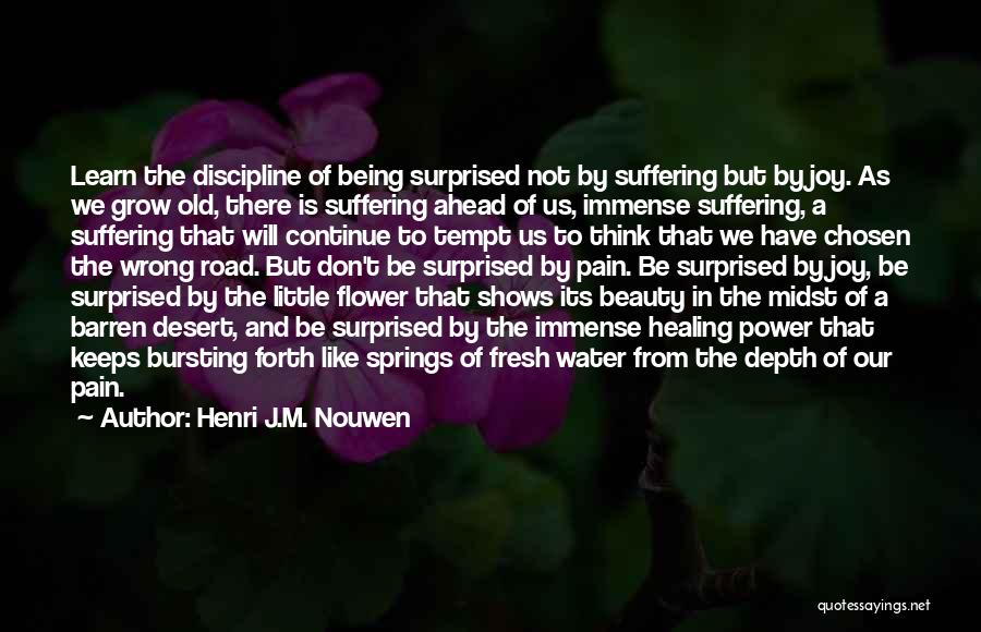 Henri J.M. Nouwen Quotes: Learn The Discipline Of Being Surprised Not By Suffering But By Joy. As We Grow Old, There Is Suffering Ahead