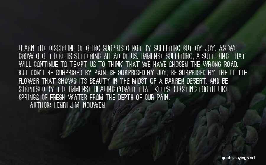 Henri J.M. Nouwen Quotes: Learn The Discipline Of Being Surprised Not By Suffering But By Joy. As We Grow Old, There Is Suffering Ahead