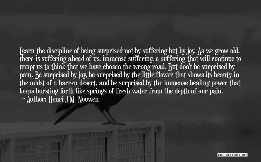 Henri J.M. Nouwen Quotes: Learn The Discipline Of Being Surprised Not By Suffering But By Joy. As We Grow Old, There Is Suffering Ahead