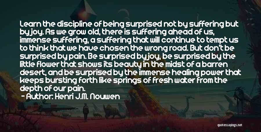 Henri J.M. Nouwen Quotes: Learn The Discipline Of Being Surprised Not By Suffering But By Joy. As We Grow Old, There Is Suffering Ahead