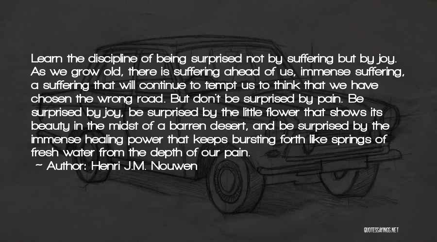 Henri J.M. Nouwen Quotes: Learn The Discipline Of Being Surprised Not By Suffering But By Joy. As We Grow Old, There Is Suffering Ahead