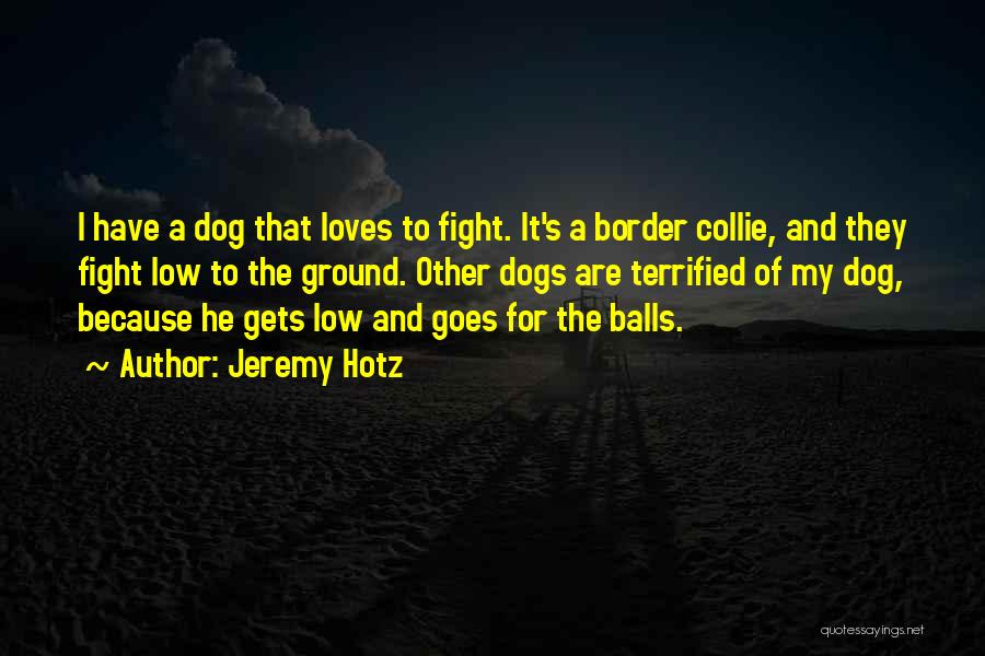 Jeremy Hotz Quotes: I Have A Dog That Loves To Fight. It's A Border Collie, And They Fight Low To The Ground. Other