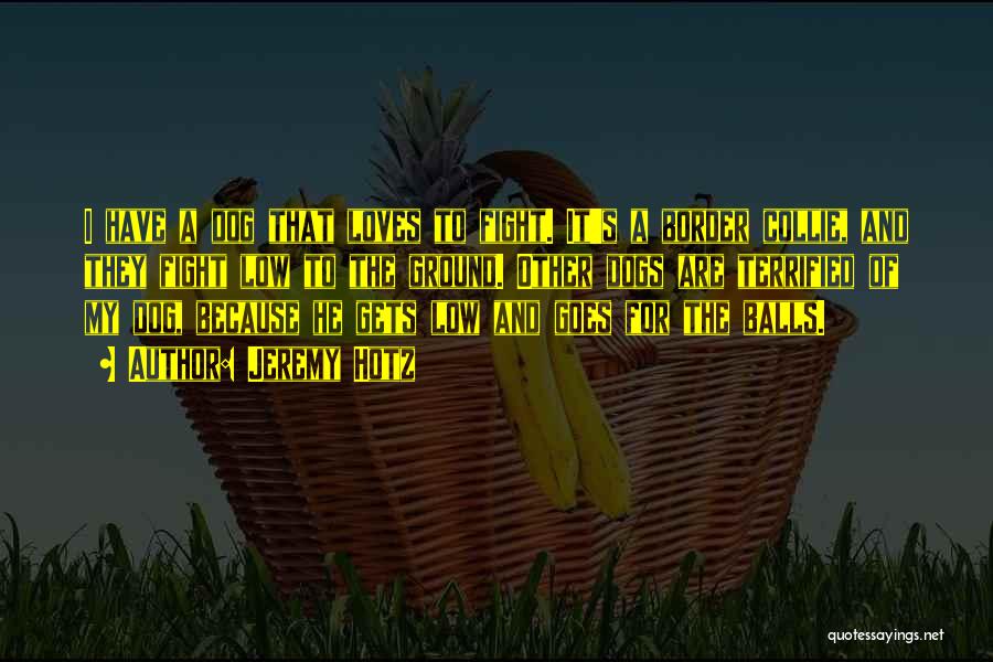 Jeremy Hotz Quotes: I Have A Dog That Loves To Fight. It's A Border Collie, And They Fight Low To The Ground. Other