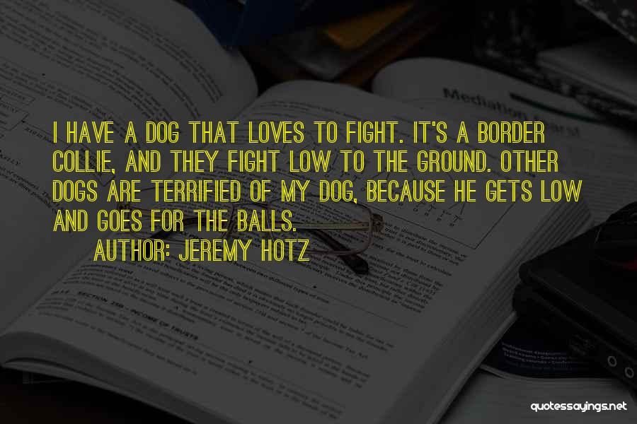 Jeremy Hotz Quotes: I Have A Dog That Loves To Fight. It's A Border Collie, And They Fight Low To The Ground. Other