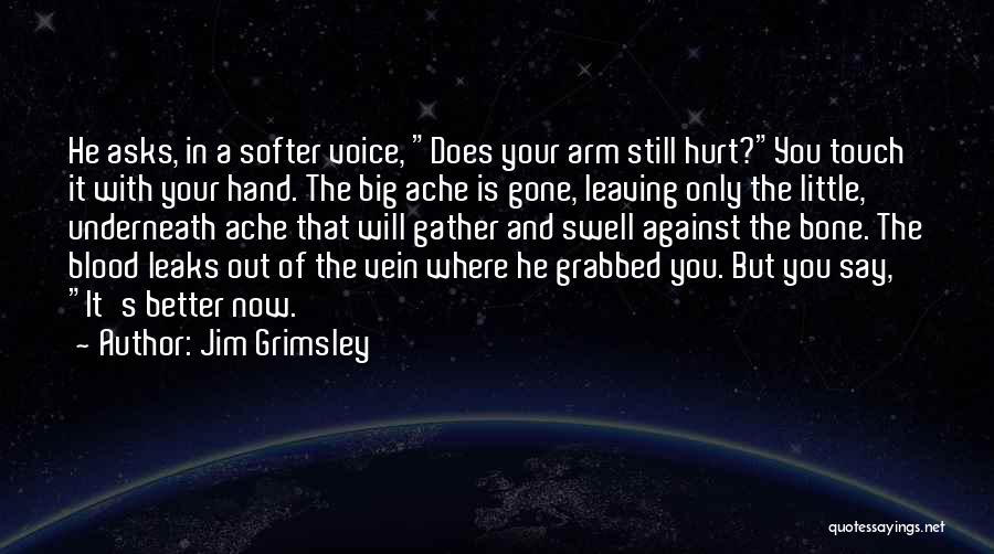 Jim Grimsley Quotes: He Asks, In A Softer Voice, Does Your Arm Still Hurt?you Touch It With Your Hand. The Big Ache Is