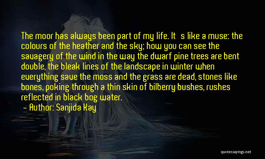 Sanjida Kay Quotes: The Moor Has Always Been Part Of My Life. It's Like A Muse: The Colours Of The Heather And The