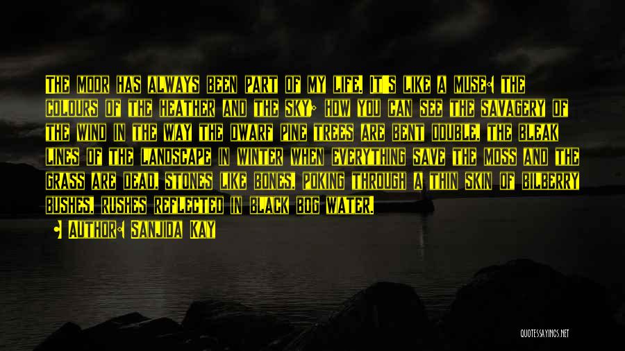 Sanjida Kay Quotes: The Moor Has Always Been Part Of My Life. It's Like A Muse: The Colours Of The Heather And The