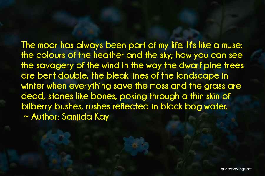 Sanjida Kay Quotes: The Moor Has Always Been Part Of My Life. It's Like A Muse: The Colours Of The Heather And The