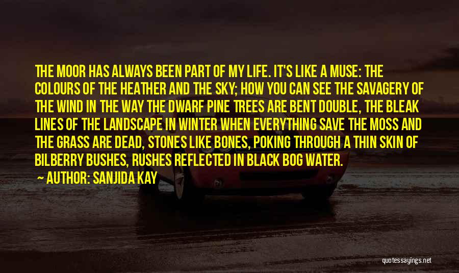 Sanjida Kay Quotes: The Moor Has Always Been Part Of My Life. It's Like A Muse: The Colours Of The Heather And The