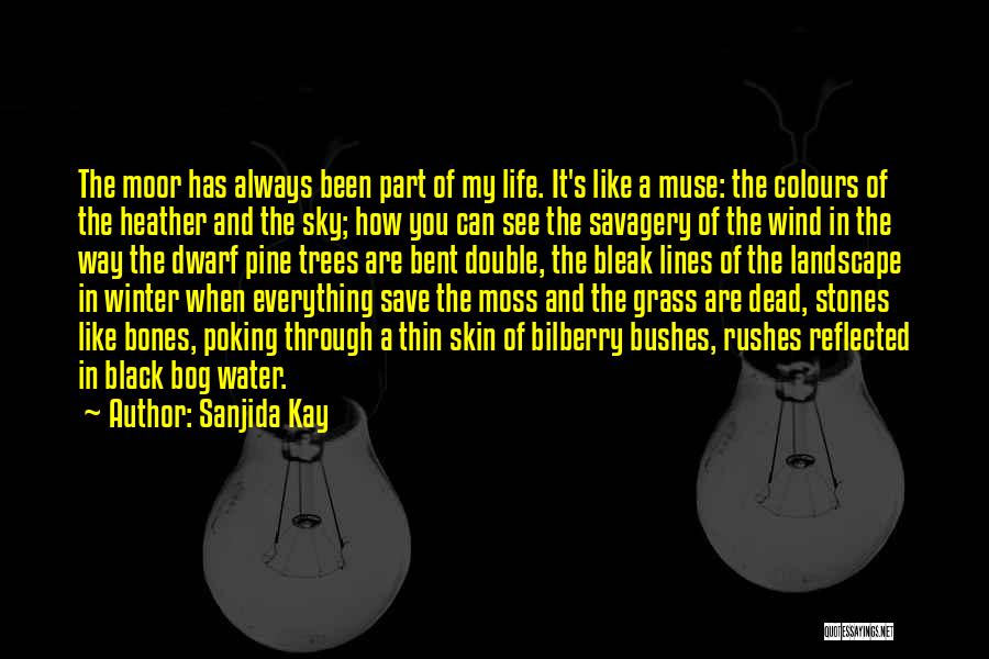 Sanjida Kay Quotes: The Moor Has Always Been Part Of My Life. It's Like A Muse: The Colours Of The Heather And The