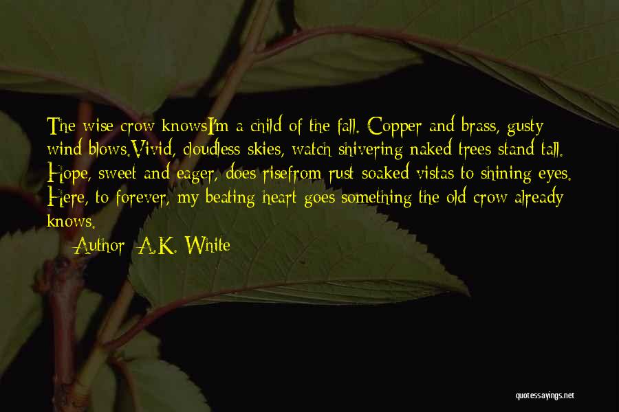 A.K. White Quotes: The Wise Crow Knowsi'm A Child Of The Fall. Copper And Brass, Gusty Wind Blows.vivid, Cloudless Skies, Watch Shivering Naked