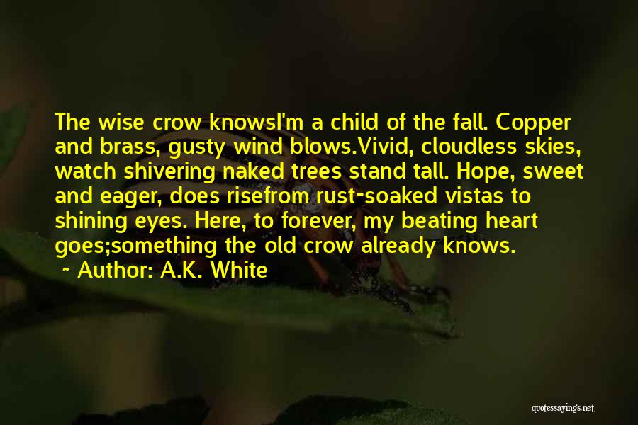 A.K. White Quotes: The Wise Crow Knowsi'm A Child Of The Fall. Copper And Brass, Gusty Wind Blows.vivid, Cloudless Skies, Watch Shivering Naked