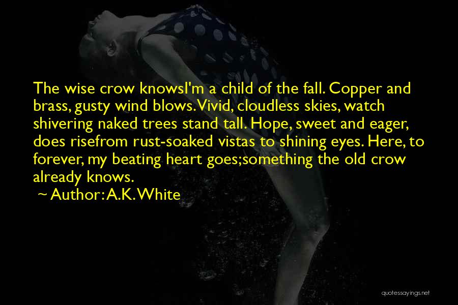 A.K. White Quotes: The Wise Crow Knowsi'm A Child Of The Fall. Copper And Brass, Gusty Wind Blows.vivid, Cloudless Skies, Watch Shivering Naked