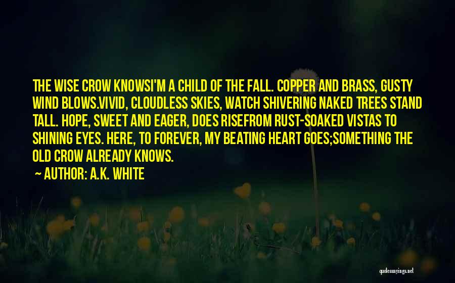 A.K. White Quotes: The Wise Crow Knowsi'm A Child Of The Fall. Copper And Brass, Gusty Wind Blows.vivid, Cloudless Skies, Watch Shivering Naked