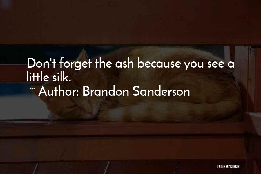 Brandon Sanderson Quotes: Don't Forget The Ash Because You See A Little Silk.
