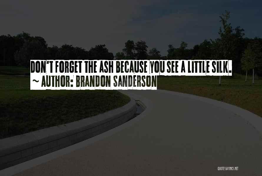 Brandon Sanderson Quotes: Don't Forget The Ash Because You See A Little Silk.