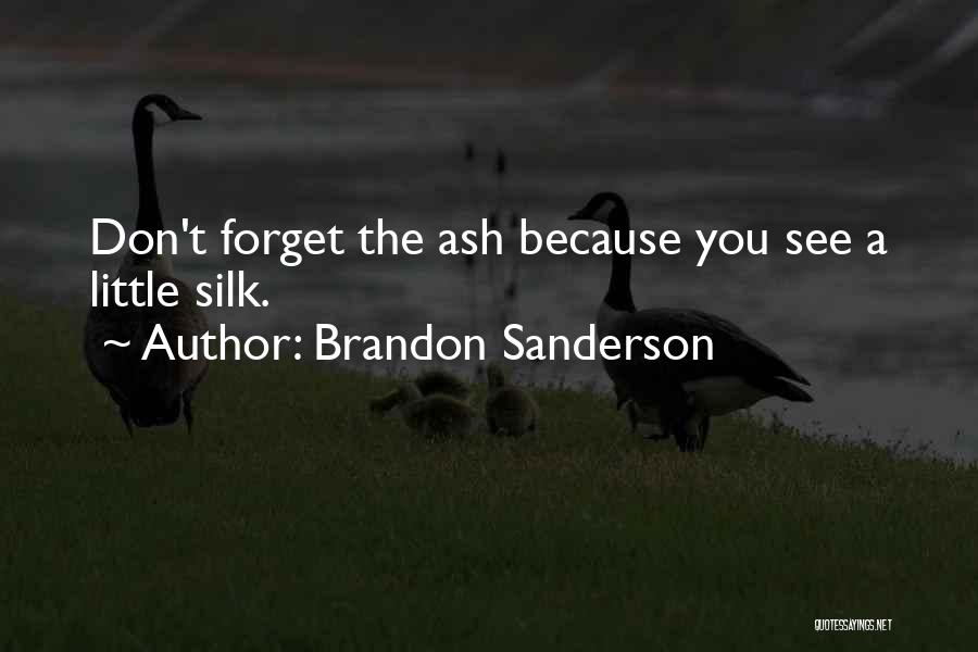 Brandon Sanderson Quotes: Don't Forget The Ash Because You See A Little Silk.