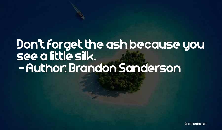 Brandon Sanderson Quotes: Don't Forget The Ash Because You See A Little Silk.