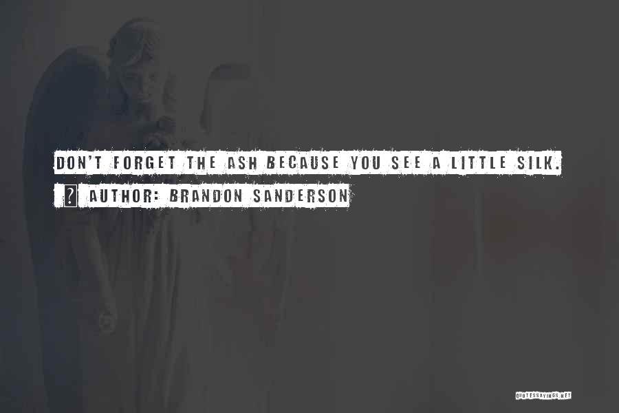 Brandon Sanderson Quotes: Don't Forget The Ash Because You See A Little Silk.