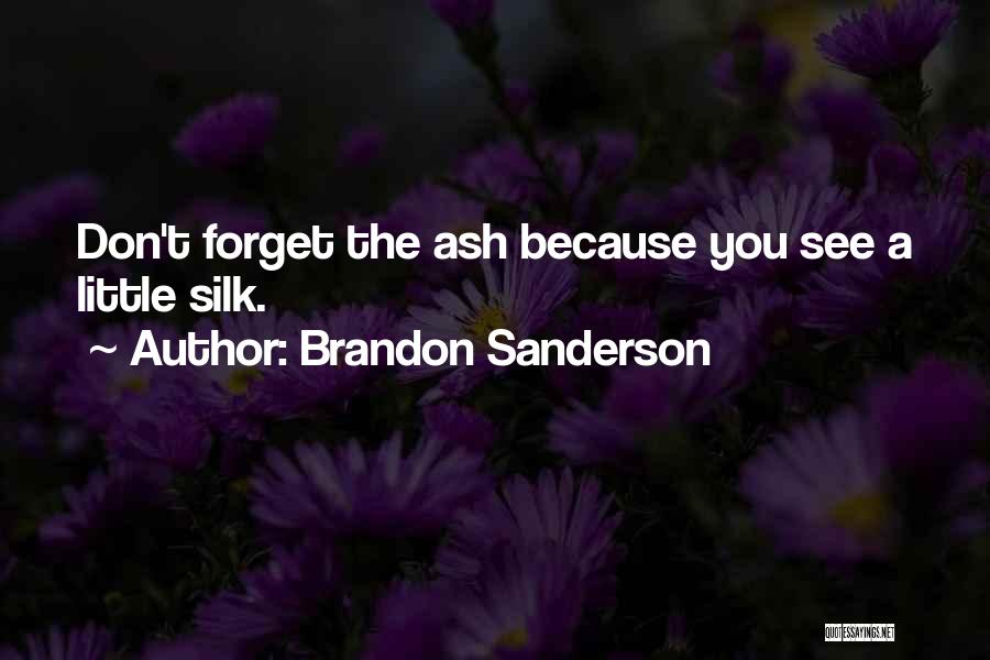 Brandon Sanderson Quotes: Don't Forget The Ash Because You See A Little Silk.
