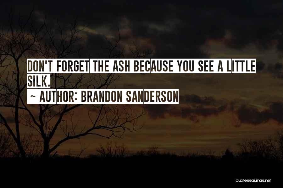 Brandon Sanderson Quotes: Don't Forget The Ash Because You See A Little Silk.