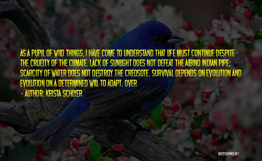 Krista Schlyer Quotes: As A Pupil Of Wild Things, I Have Come To Understand That Life Must Continue Despite The Cruelty Of The