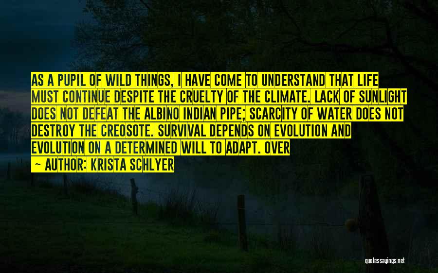 Krista Schlyer Quotes: As A Pupil Of Wild Things, I Have Come To Understand That Life Must Continue Despite The Cruelty Of The