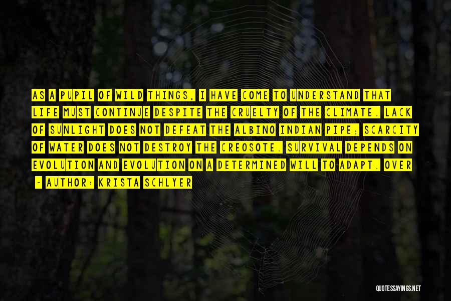 Krista Schlyer Quotes: As A Pupil Of Wild Things, I Have Come To Understand That Life Must Continue Despite The Cruelty Of The