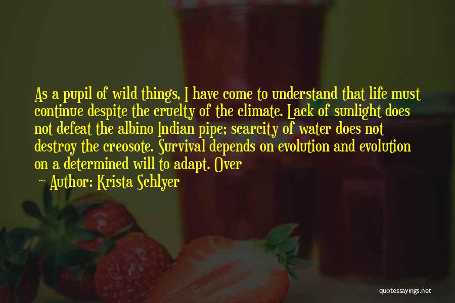 Krista Schlyer Quotes: As A Pupil Of Wild Things, I Have Come To Understand That Life Must Continue Despite The Cruelty Of The